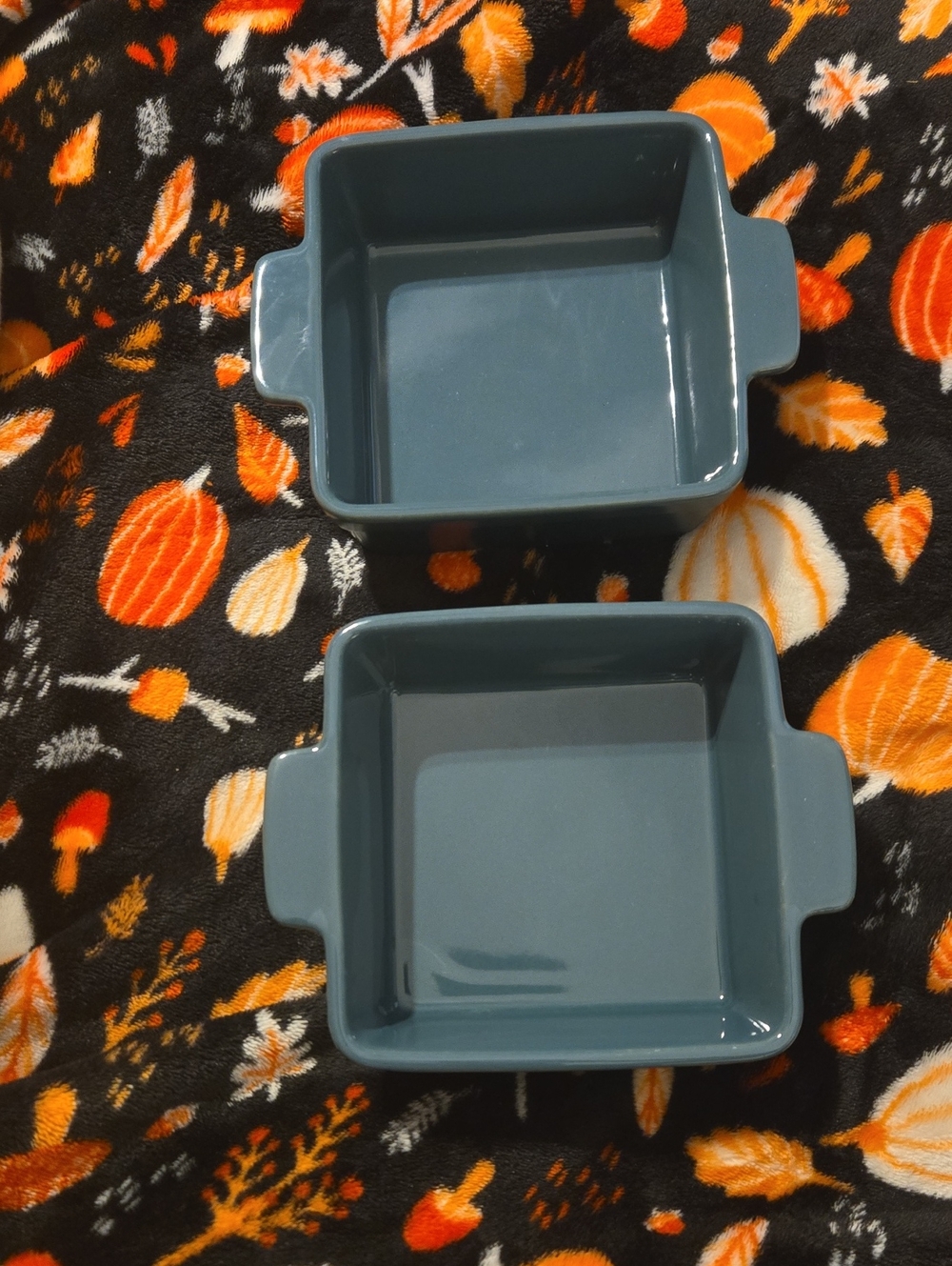 2 Pc Baking Dishes